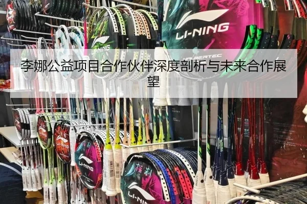 李娜公益项目合作伙伴深度剖析与未来合作展望